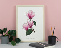 Magnolia Print