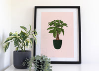 Money Tree Houseplant Print