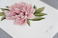 Peony Floral Art Print