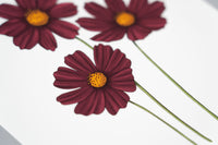 Cosmos Floral Art Print