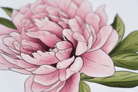 Peony Floral Art Print