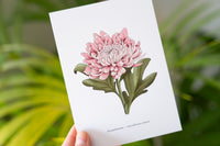 Chrysanthemum Floral Art Print