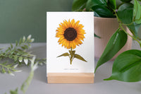 Sunflower Print