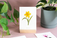 Daffodil Floral Art Print