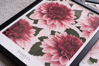 Dahlias Art Print