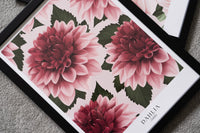 Dahlia Print