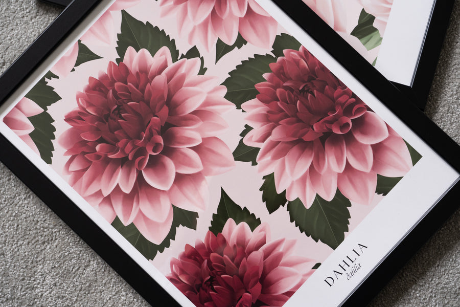 Dahlias Art Print