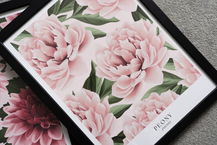 Peonies Art Print