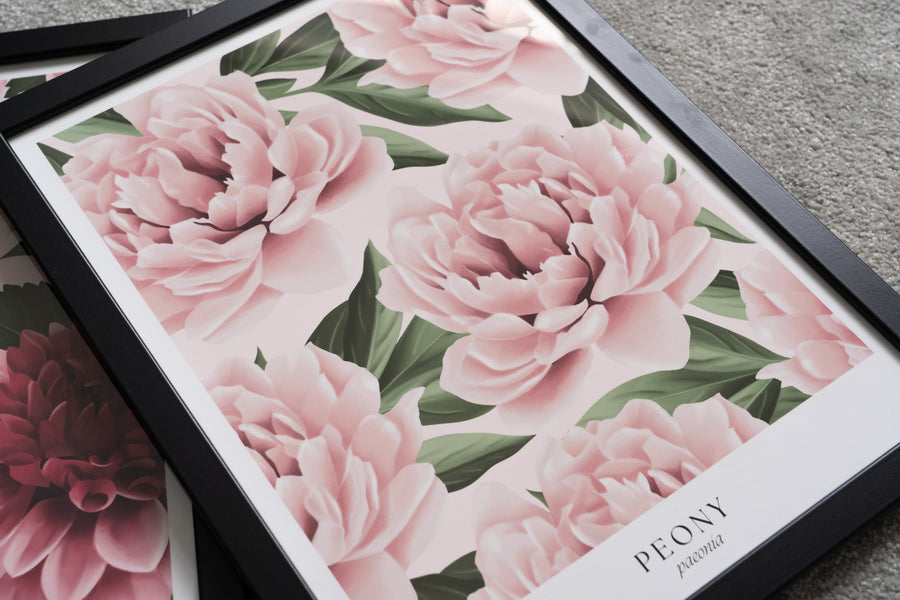 Peonies Art Print