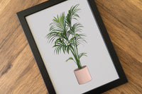 Kentia Palm Houseplant Print