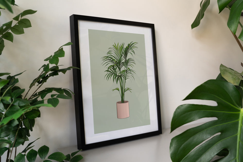 Kentia Palm Houseplant Print