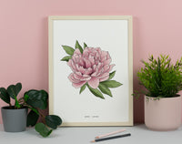 Peony Floral Art Print