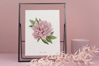 Peony Floral Art Print