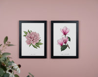 Peony Floral Art Print