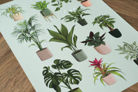 Houseplants Print