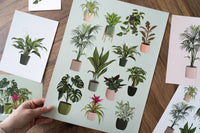 Houseplants Art Print