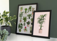 Houseplants Print