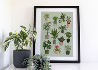 Houseplants Art Print