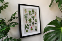 Houseplants Art Print