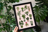 Houseplants Print