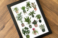 Houseplants Print