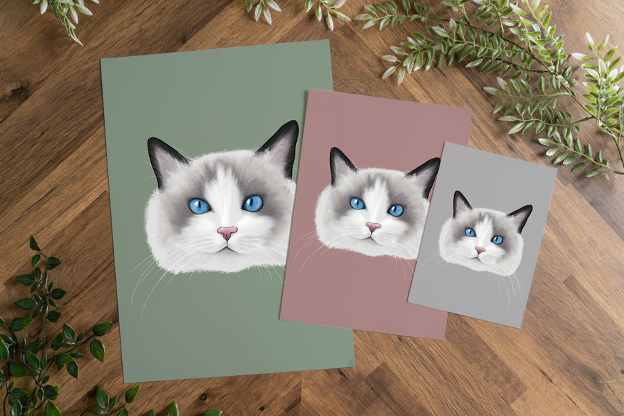 Ragdoll Cat Art Print