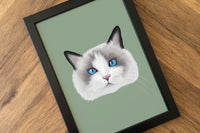 Ragdoll Cat Art Print