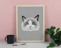 Ragdoll Cat Print