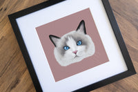 Ragdoll Cat Print