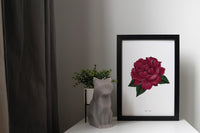 Rose Floral Art Print