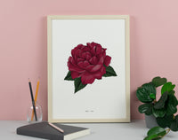 Rose Floral Art Print