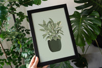 Rubber Plant Houseplant Art Print