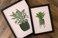 Rubber Plant Houseplant Art Print