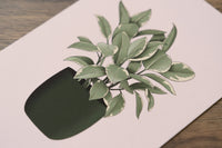 Rubber Plant Houseplant Art Print