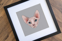 Sphynx Cat Art Print