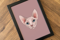 Sphynx Cat Art Print