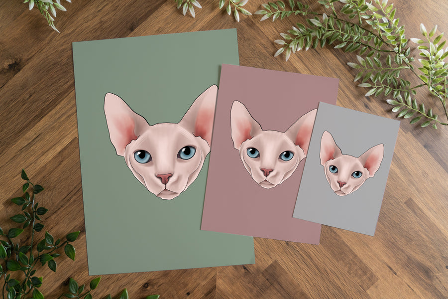 Sphynx Cat Print