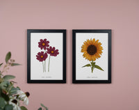 Cosmos Floral Art Print