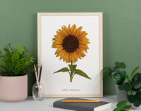 Sunflower Print