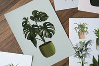 Swiss Cheese Houseplant Print