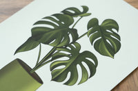 Swiss Cheese Houseplant Print