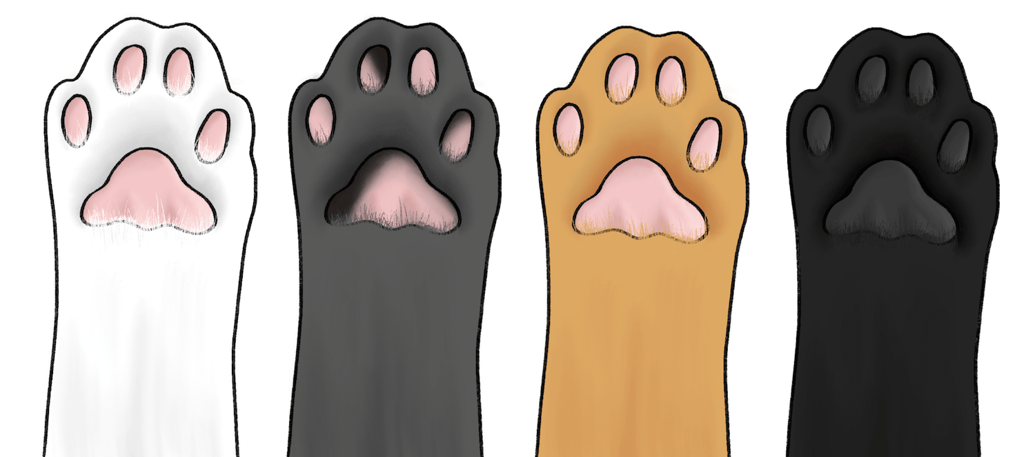 Paws